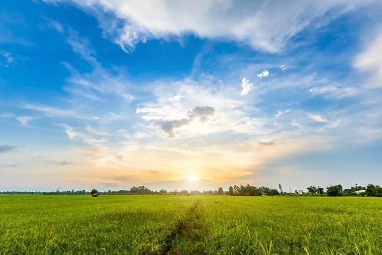 비트코인, 왜 먼저 들어간 사람이 보상받는가